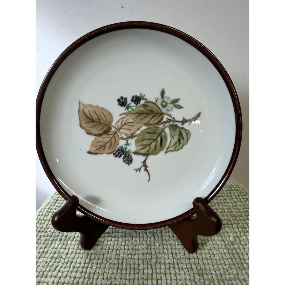 Schonwald Germany Hand Painted Plate 1978 Botanical Berry Brown Rim